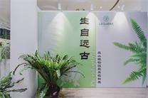 感受遠古多樣魅力，辰山蕨類植物首次集中亮相！