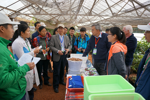 2014年園林園藝與景觀建設培訓班順利結課