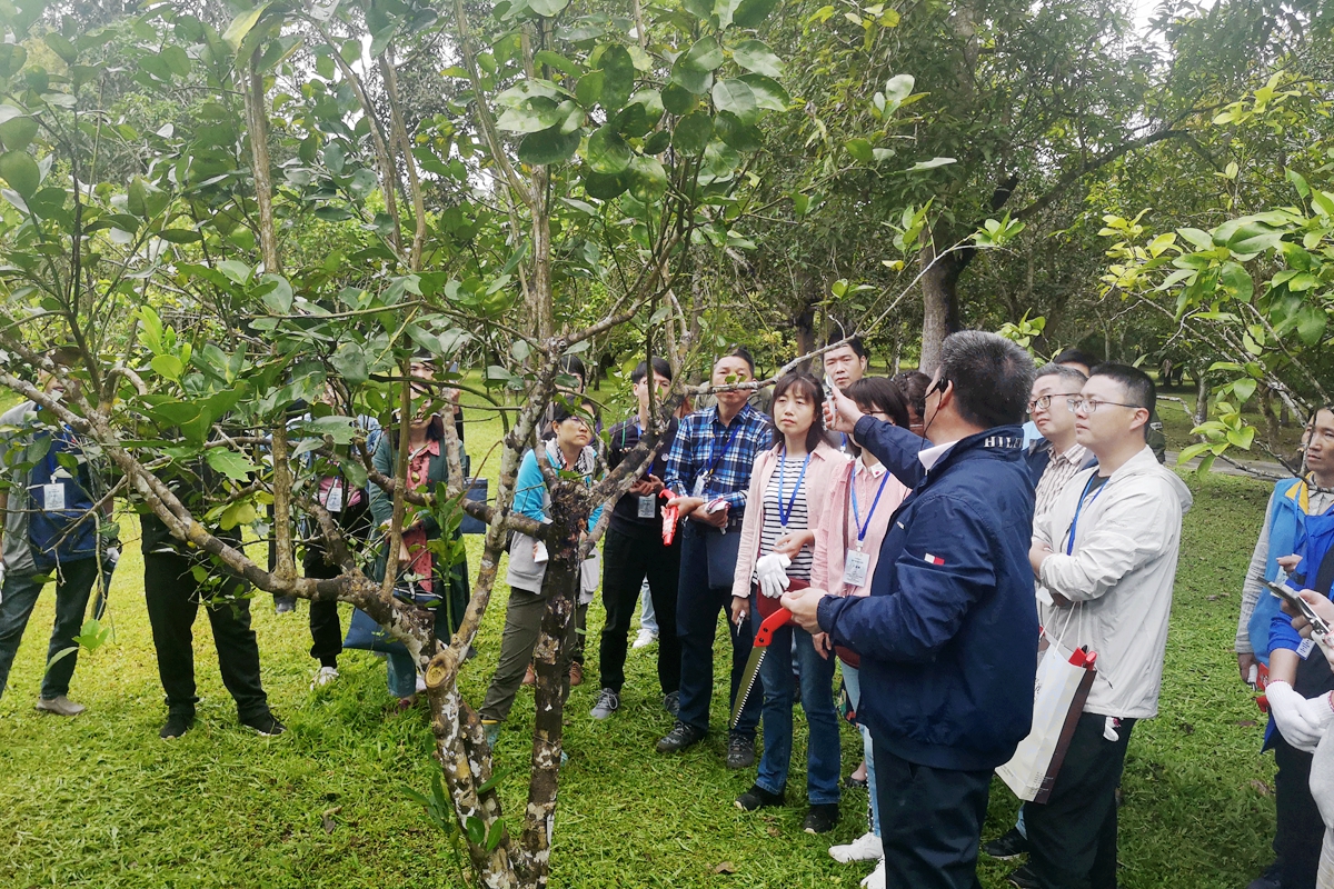 2020年大樹名木養護管理培訓班學員名單