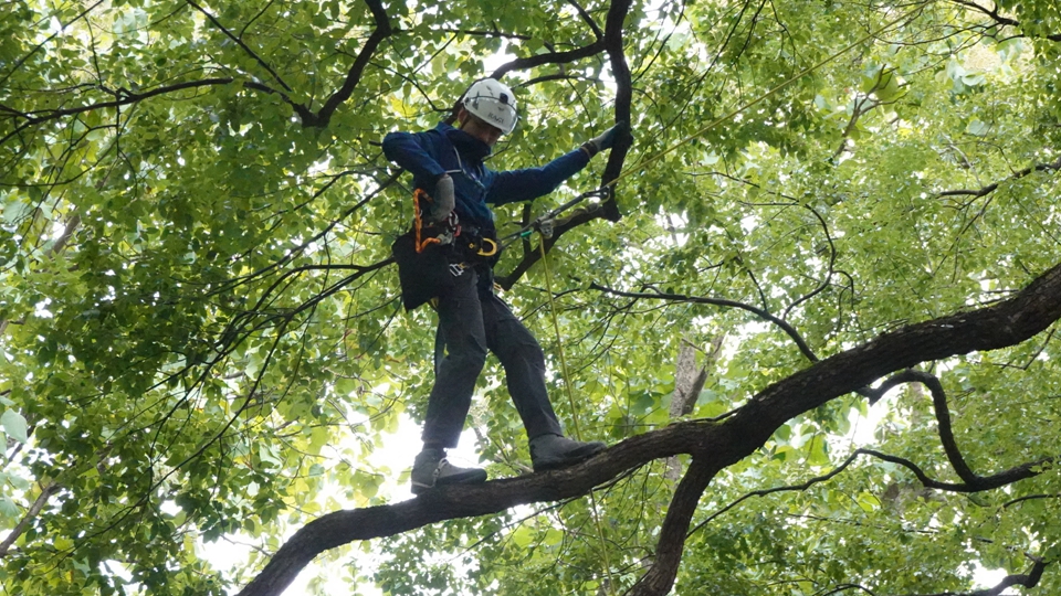 2021年樹藝專業技能培訓班